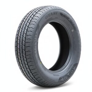 Lốp Thái Lan Otani EK2000 205/65R15 95H